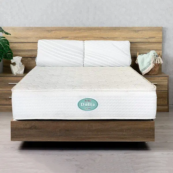 سعر ومواصفات Al Maamoun Foam Mattress, Delta Model, 20 cm Height, Twin 120x195 cm, Double Sided (B0HLHB22NJ) على Amazon EG