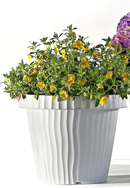 سعر ومواصفات Bama Wave Design Planter - 35cm (B0C823W9JQ) على Amazon EG