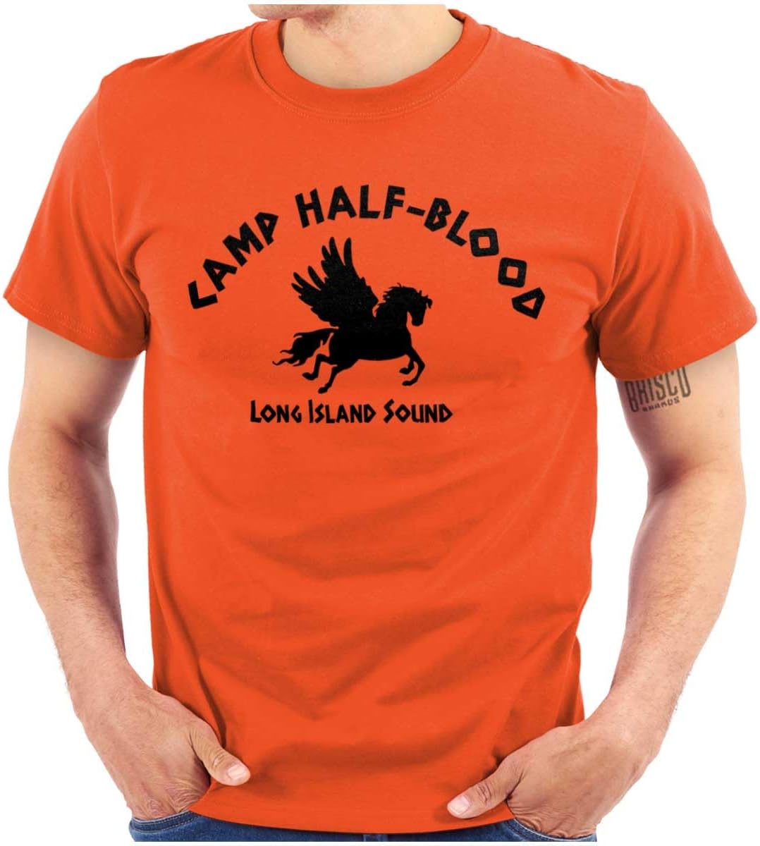سعر ومواصفات Brisco Brands Camp Half Blood Greek Mythology Graphic T Shirt Men or Women (B01KI9EZHQ) على Amazon EG