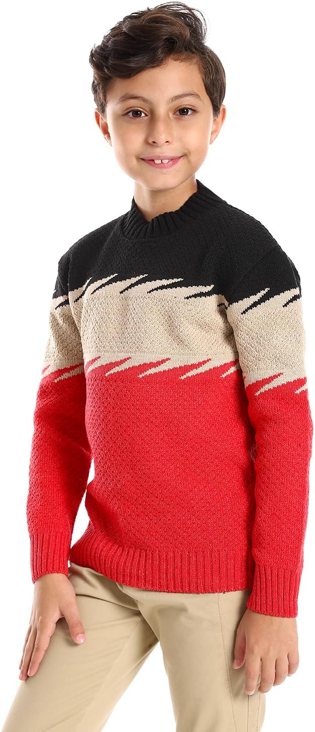 سعر ومواصفات CAESAR Boys Boys Pullover Boys Pullover (B0CCMMMG5B) على Amazon EG
