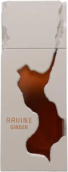 سعر ومواصفات عطر جينجر اكستريت دي بارفان للرجال من فرينش افينيو - 100 مل (B0GK9SFR9D) على Amazon EG