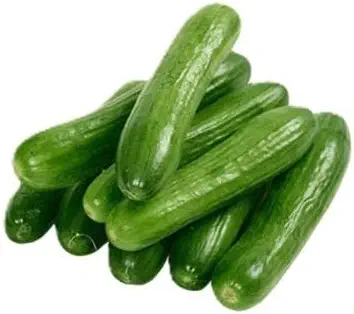 سعر ومواصفات Fresh Pick Cucumber 1kg (B0G3VN22VP) على Amazon EG