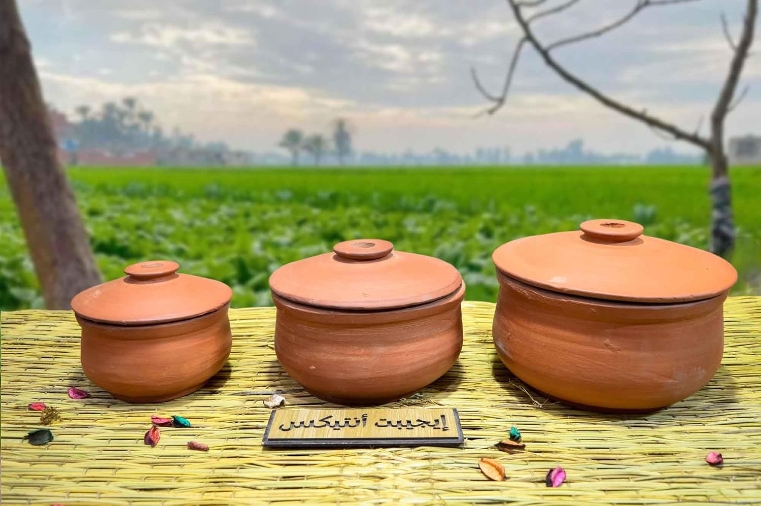 سعر ومواصفات Healthy Pottery Pot Set 3 Pieces Natural Brown 3 Different Sizes Egyptian Handmade 100% Egyptian Mad (B0FHH4GH83) على Amazon EG