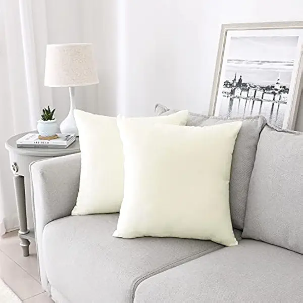 سعر ومواصفات INtex CURTAINS HOUSE Velvet Pillow Covers, Soft Thick Decorative Cushion Covers, 30 x 30 CM, Vanilla Latte, Set of 2, Square Throw Pillowcases for Couch, Sofa, Bed, and Living Room Decor (B0D63GRFZ6) على Amazon EG