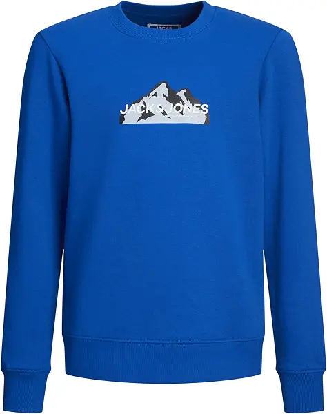 سعر ومواصفات JACK & JONES Boy's Junior Mountain Logo Crew-Neck Sweatshirt (pack of 1) (B0CQM6GVY7) على Amazon EG