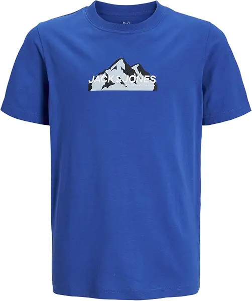 سعر ومواصفات JACK & JONES Boy's Junior Mountain Logo Crew-Neck Short-Sleeves T-Shirt (pack of 1) (B0CQM6LWZ4) على Amazon EG