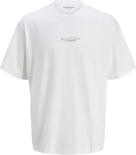 سعر ومواصفات JACK & JONES Mens JCOCHROME SILVER PRINT TEE SS CREW NECK Modern (pack of 1) (B0D96QBS47) على Amazon EG