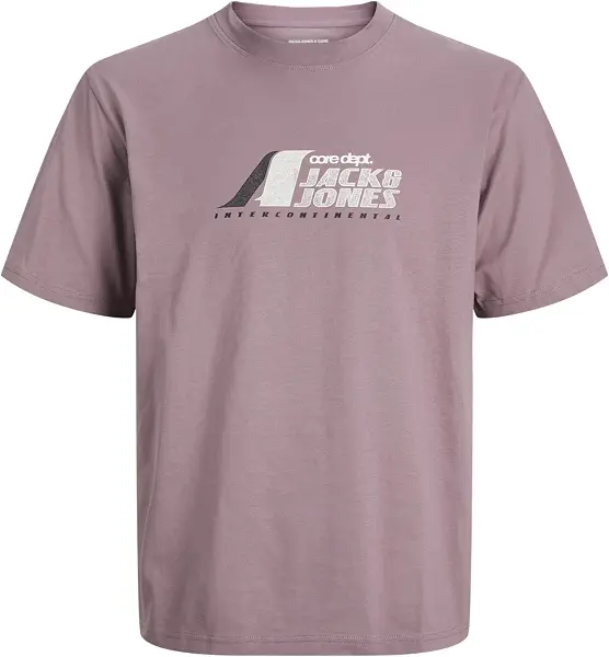 سعر ومواصفات JACK & JONES Mens JCOTIER FRONT PRINT TEE SS CREW NECK Classic (pack of 1) - Grape Shake (B0DQLM71WJ) على Amazon EG