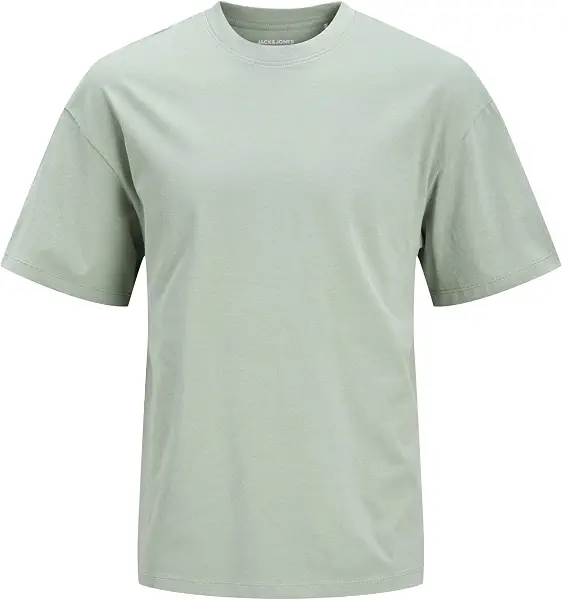 سعر ومواصفات JACK & JONES Mens JJEBRADLEY TEE SS O-NECK NOOS Modern (pack of 1) (B0D17C66L3) على Amazon EG