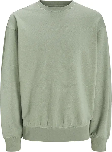 سعر ومواصفات JACK & JONES mens JJECHARGE SWEAT CREW NECK NOOS Hooded Sweatshirt (B0D17C4NPM) على Amazon EG
