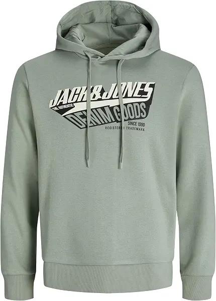 سعر ومواصفات JACK & JONES mens JJELOGO SWEAT HOOD 2 COL 25/26 NOOS Hooded Sweatshirt - Iceberg Green (B0DKK47SRD) على Amazon EG