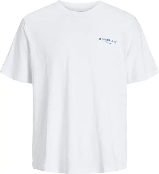 سعر ومواصفات JACK & JONES Mens JJJEFF MONOCHROME TEE SS CREW NECK Modern (B0D42F1PX8) على Amazon EG