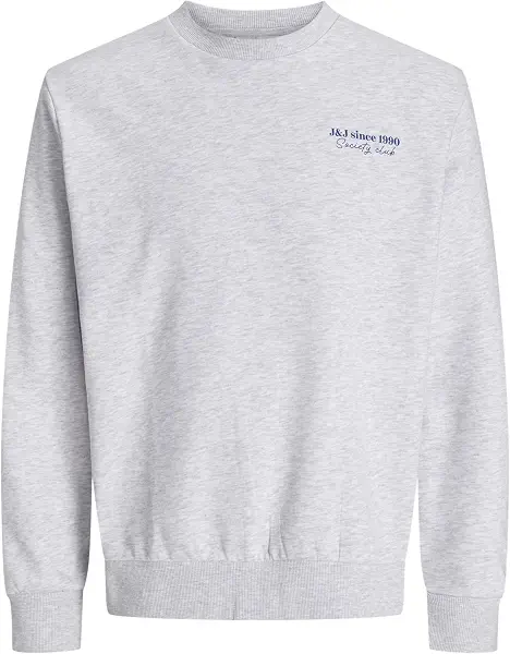 سعر ومواصفات JACK & JONES mens JJNINETY SWEAT CREW NECK Hooded Sweatshirt (pack of 1) (B0DN4NV3BX) على Amazon EG