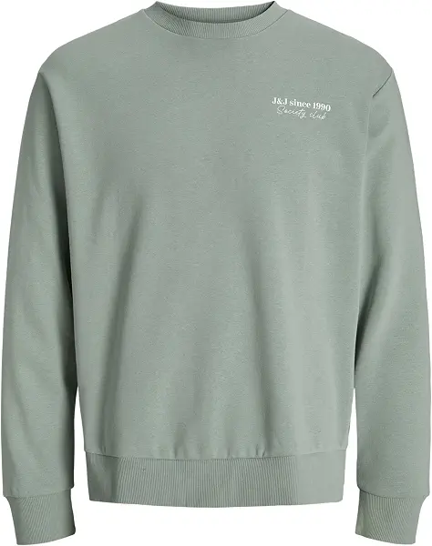 سعر ومواصفات JACK & JONES mens JJNINETY SWEAT CREW NECK Hooded Sweatshirt (pack of 1) (B0DN4ZPGD7) على Amazon EG