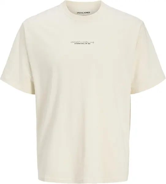 سعر ومواصفات JACK & JONES Mens JJRIKKIE TEE SS CREW NECK Modern (pack of 1) (B0DN24V38T) على Amazon EG