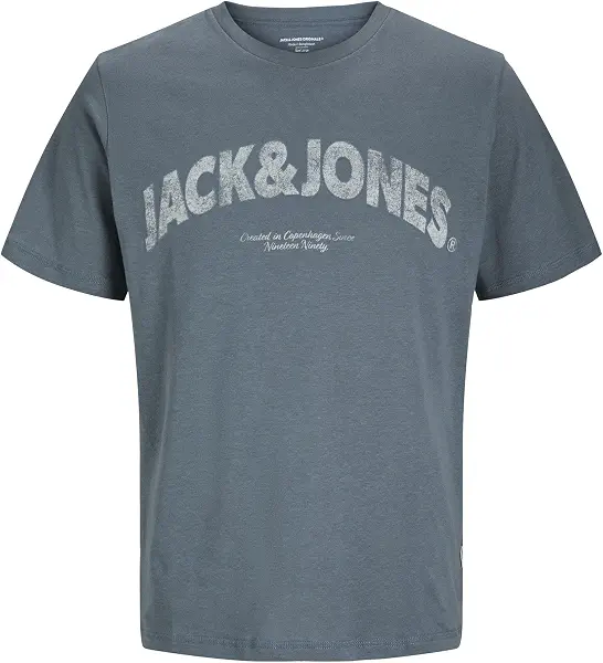 سعر ومواصفات JACK & JONES Mens JORALMERIA BOLD BRANDING TEE SS CN LN Classic (pack of 1) (B0DFMJDG2G) على Amazon EG