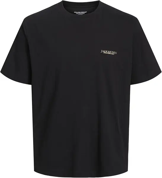 سعر ومواصفات JACK & JONES Mens JORBOSTON PHOTO TEE SS CREW NECK Modern (B0D97GCZLM) على Amazon EG