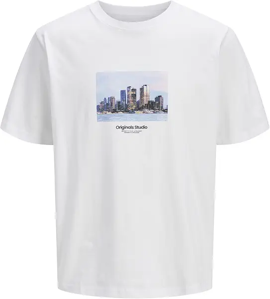 سعر ومواصفات JACK & JONES Mens JORVESTERBRO PICTURE TEE SS CREW NECK SN Classic (pack of 1) (B0D976ZZPF) على Amazon EG