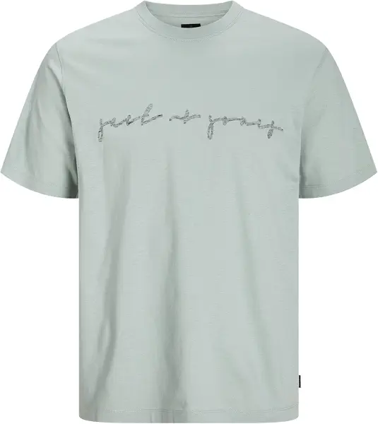 سعر ومواصفات JACK & JONES Mens JPRBLACARTER SS TEE Modern (B0D972N8BN) على Amazon EG