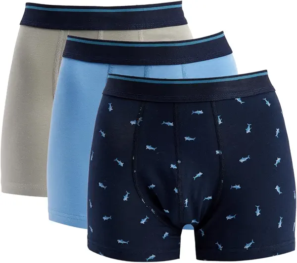 سعر ومواصفات KOTON Mens BOXERS BSC UNDERWEAR (pack of 1) (B0DWGQY5HH) على Amazon EG
