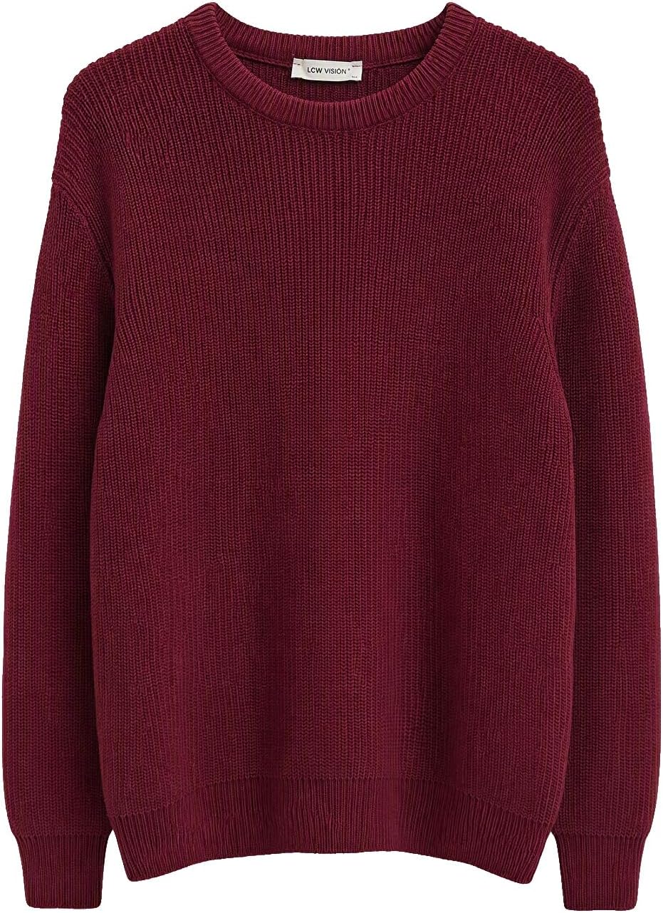 سعر ومواصفات LC WAIKIKI Crew Neck Men's Knitwear Sweater (B0HJSXWV1L) على Amazon EG
