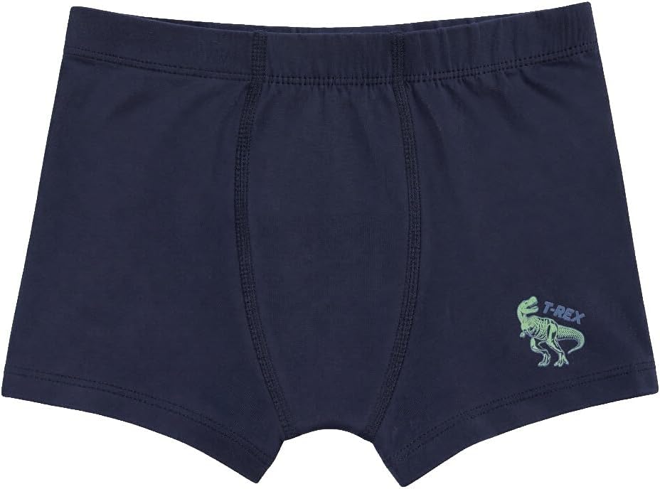 سعر ومواصفات LC WAIKIKI Printed Boys' Boxer 3-Piece (B0HJW4LM47) على Amazon EG