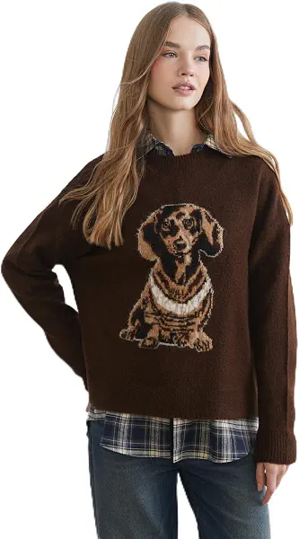 سعر ومواصفات LC واكيكي LC WAIKIKI Woman Dog Patterned Oversize Women's Knitwear Sweater (B0GY9VTWH5) على Amazon EG