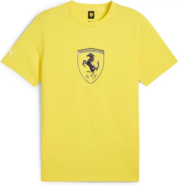 سعر ومواصفات PUMA Mens Ferrari Race Tonal Big Shield Tee Speed Classic (B0DV4KZXFT) على Amazon EG