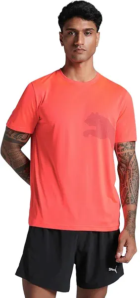 سعر ومواصفات PUMA Mens M TAD BIG LOGO TEE,R Tees (pack of 1) (B0F88QFDMJ) على Amazon EG