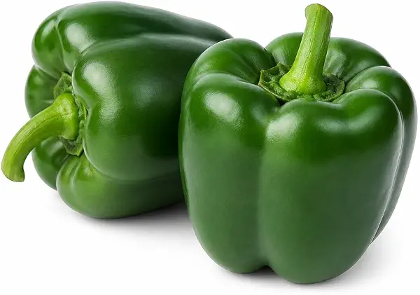 سعر ومواصفات Valley Greens - Green Bell Pepper 500g (B0HMNQ35QS) على Amazon EG