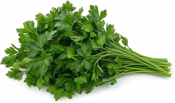 سعر ومواصفات Valley Greens - Parsley 100g (B0HMNTNGVN) على Amazon EG