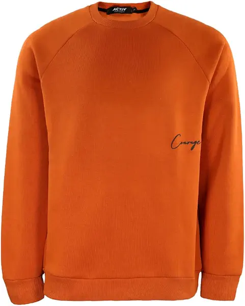 سعر ومواصفات اكتيف Activ Mens ACTIV BASIC R.NECK SWEATSHIRT Sweatshirt (pack of 1) (B0GGJ8JW22) على Amazon EG
