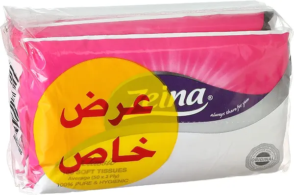 سعر ومواصفات أكياس مناديل، طقم من 5 قطع، 100 منديل - متعددة الألوان من زينة (B07G8GQCM3) على Amazon EG