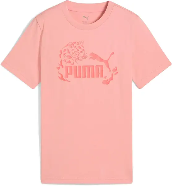 سعر ومواصفات بوما PUMA Girls FLAMING LOVE Graphic Tee G Pink Fruit Ss T.Shirt (pack of 1) (B0DV4J4T1T) على Amazon EG