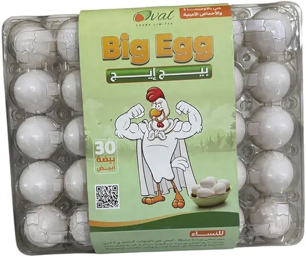 سعر ومواصفات بيضة بيضة بيضاء، 30 قطعة (B0G3RMCN8Y) على Amazon EG