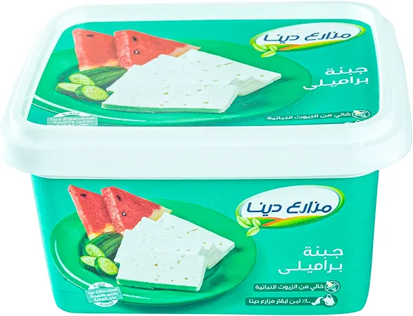 سعر ومواصفات جبنة باراميلي من دينا فارمز، 450 جرام (B0FXN1D9H2) على Amazon EG