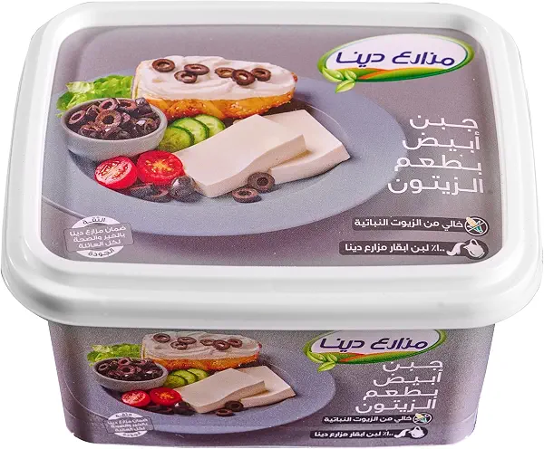 سعر ومواصفات جبنة بيضاء بالزيتون من دينا فارمز، 450 جرام (B0FXMWT1BV) على Amazon EG