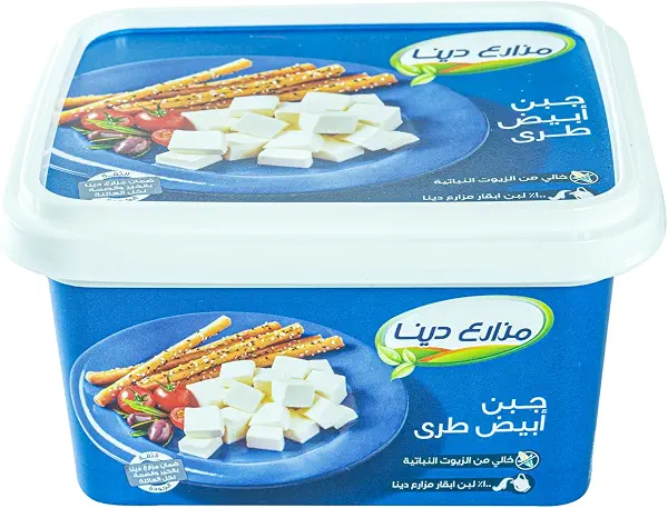 سعر ومواصفات جبنة فيتا من دينا فارمز، 450 جرام (B0FXMX653K) على Amazon EG