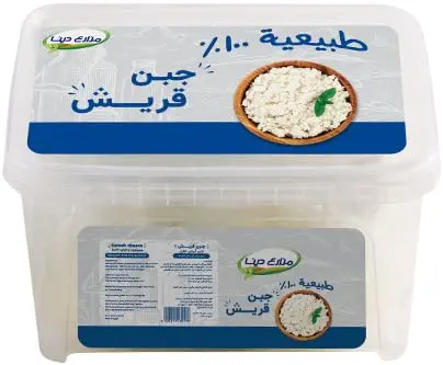 سعر ومواصفات جبنة كوتيج من دينا فارمز، 900 جرام (B0FXMVJGG9) على Amazon EG