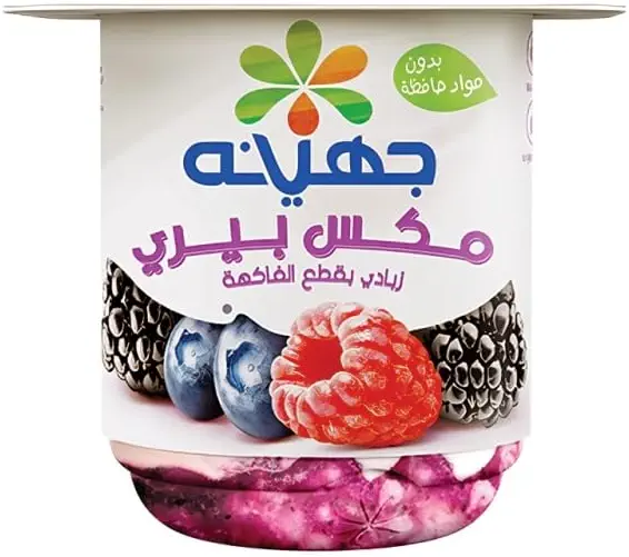 سعر ومواصفات جهينة زبادي بالفواكه توت مشكل 105 جم (B0FWCV7KM3) على Amazon EG