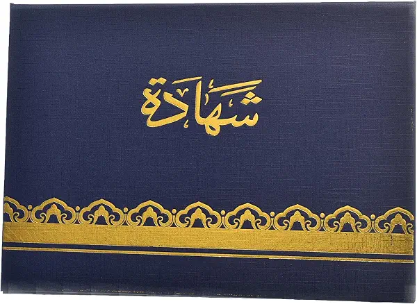 سعر ومواصفات حامل شهادات طراز 23900-3 - حافظة واقية ملونة مقاس A4 للجوائز والدبلومات مصنوعة من البلاستيك المتين من بيرجوين - متنوعة (B0G149C16V) على Amazon EG