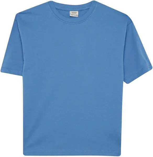 سعر ومواصفات ديفاكتو DeFacto Boys Oversize Fit Crew Neck Short Sleeve Casual Knitted Short Sleeve T-Shirt B5927A8 Short Sleeve T-Shirt (pack of 1) (B0DSKDFN66) على Amazon EG