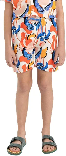 سعر ومواصفات ديفاكتو DeFacto Boys Regular Fit C5564A8 Woven Swimming Short (pack of 1) (B0CZ7FT36B) على Amazon EG