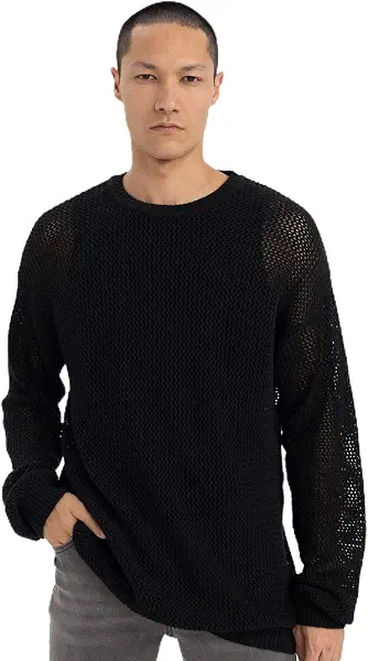 سعر ومواصفات ديفاكتو DeFacto Man C0013AX Sweatshirt (pack of 1) (B0DHTV7BHS) على Amazon EG