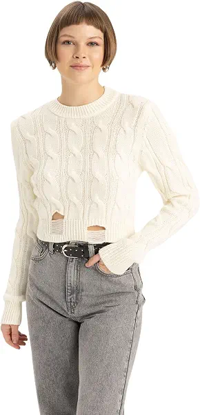سعر ومواصفات ديفاكتو DeFacto womens Cropped Fit Crew Neck Long Sleeve Tricot C2016AX Pullover Sweater (pack of 1) (B0DFG366JH) على Amazon EG