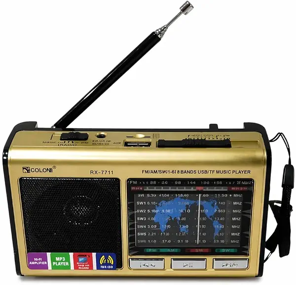 سعر ومواصفات راديو محمول متعدد النطاقات مع مشغل MP3 وهوائي - ذهبي - A1-322 (B0GZDKBPHT) على Amazon EG
