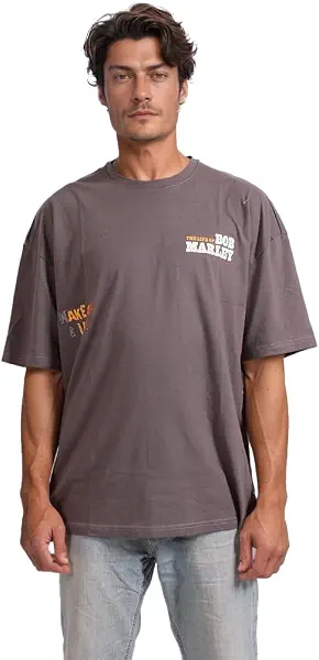 سعر ومواصفات رافين Ravin Mens Bob Maley Gaphic T-Shit - Chacoal Gay Modern (pack of 1) (B0DWMT4P3L) على Amazon EG