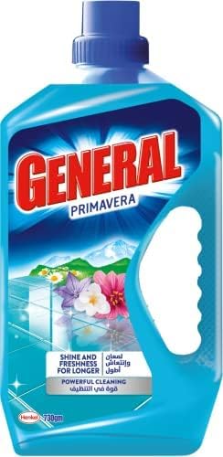 سعر ومواصفات سائل منظف أرضيات برائحة الزهور من جنرال، 730 جم عدد 1 (B08WJJLYMS) على Amazon EG