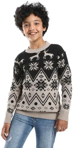 سعر ومواصفات سيزر CAESAR Boys Wool Boys Pullover Pullover (B0CNZSVTXF) على Amazon EG
