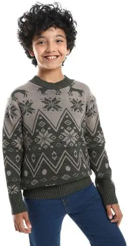 سعر ومواصفات سيزير Caesar Boys Wool Boys Pullover With Multi Design Wool Boys Pullover With Multi Design (B0DJXY8CNK) على Amazon EG